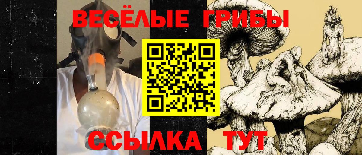 Сорочинск  Псилоцибиновые грибы Psilocybine cubensis  Псилоцибиновые грибы Cubensis  цена   Вход с VPN 