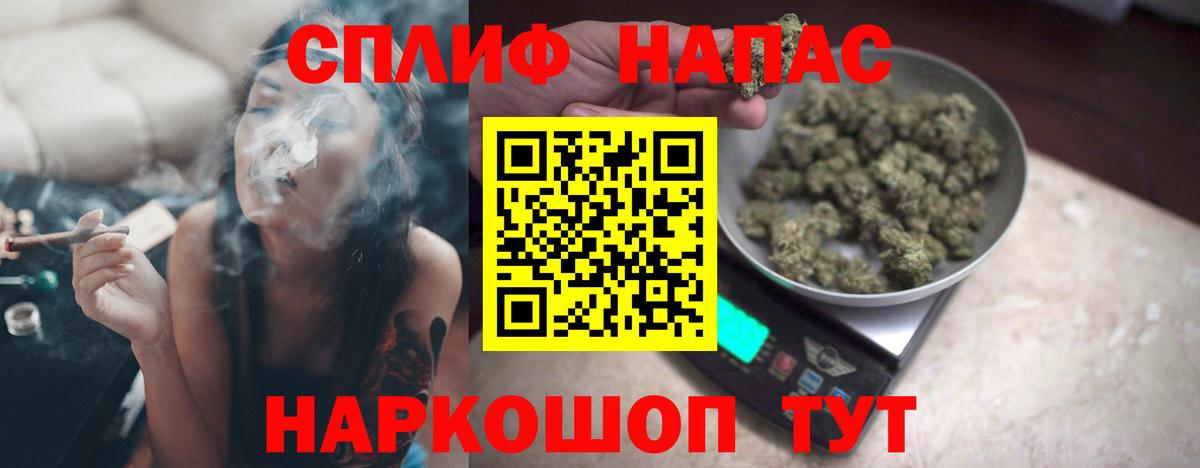 Конопля гибрид Сорочинск
